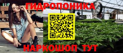 PSILOCYBIN Нальчик