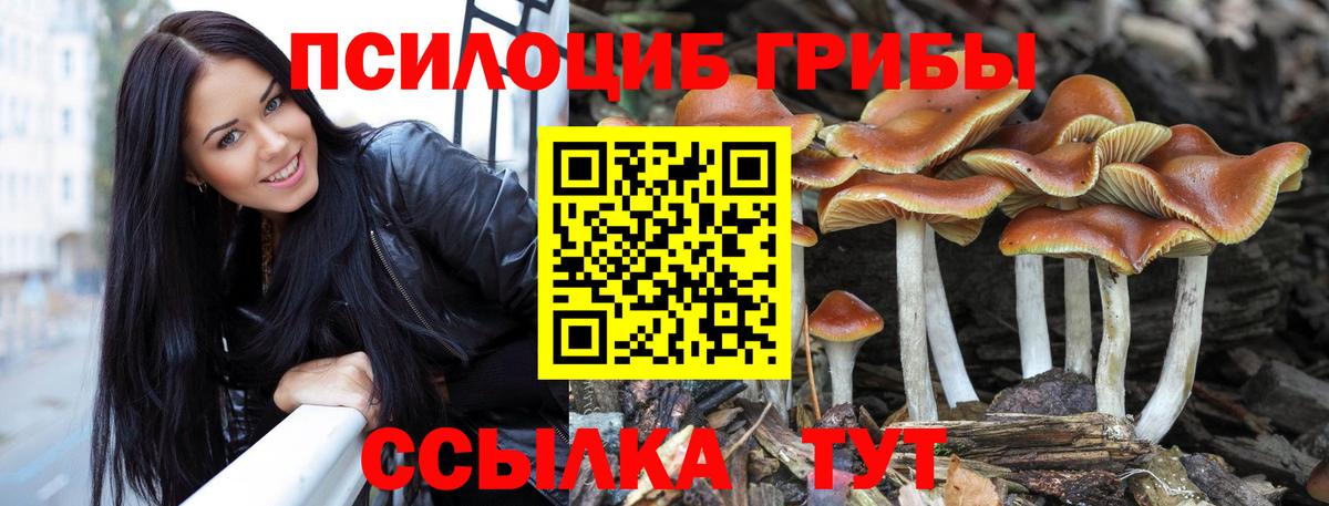 Сергиев Посад  Псилоцибиновые грибы прущие грибы  Вход с VPN 